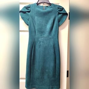 Calvin Klein Velvet Dress with Tulip sleeves, size 2